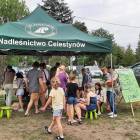 zdjęcie nr 9