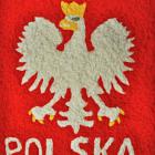 Fotka nr 5 z 7