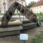 zdjęcie nr 11