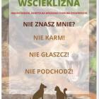 Fotka nr 3 z 4