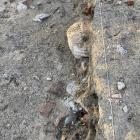 Wykopaliska archeologiczne na terenie dawnej synagogi Goldbergów w Otwocku