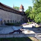 zdjęcie nr 31