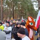 zdjęcie nr 27