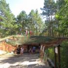 zdjęcie nr 33