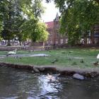 zdjęcie nr 51