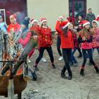 zdjęcie nr 16