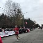 zdjęcie nr 10