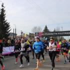 zdjęcie nr 23