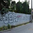 zdjęcie nr 21