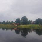 zdjęcie nr 16