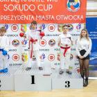 zdjęcie nr 34