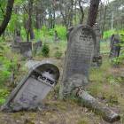 zdjęcie nr 21
