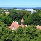 zdjęcie nr 45