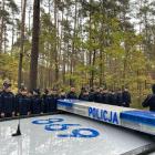 Fotka nr 5 z 8