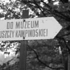 zdjęcie nr 82