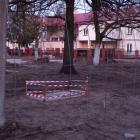 zdjęcie nr 8