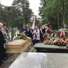 zdjęcie nr 8