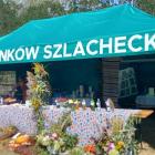 zdjęcie nr 33
