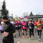 zdjęcie nr 18