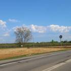 zdjęcie nr 30