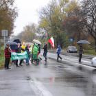 zdjęcie nr 7