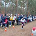 zdjęcie nr 23