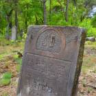 zdjęcie nr 59