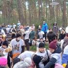 zdjęcie nr 37