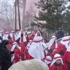 zdjęcie nr 9