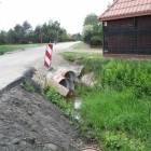 Fotka nr 1 z 3