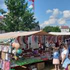zdjęcie nr 13