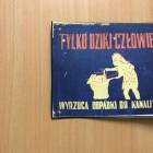 zdjęcie nr 40