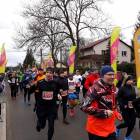 zdjęcie nr 42