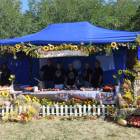 zdjęcie nr 40