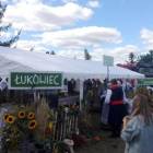 zdjęcie nr 30