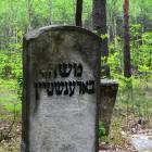 zdjęcie nr 26