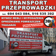 zdjęcie nr 