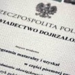 zdjęcie nr 