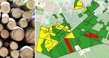 Gdzie w powiecie otwockim leśnicy w 2024 r. wytną las