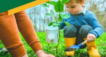 Karczew sadzi drzewa dla dzieci urodzonych w 2024 roku