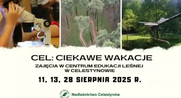 Odkryj leśne tajemnice – wakacyjne warsztaty w CEL-u!