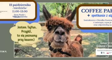 Coffee Party i spotkanie z alpakami – wyjątkowa niedziela w Willi Frankówka