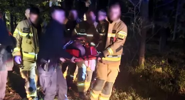 Nocne poszukiwania zaginionego grzybiarza w gminie Kołbiel zakończone sukcesem