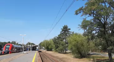 Józefów ratuje krzewy i drzewa przy torach kolejowych – ekologiczna akcja miasta