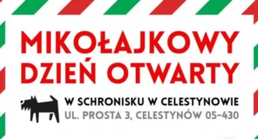 Mikołajkowy Dzień Otwarty w schronisku w Celestynowie!