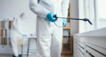 Poradnik: Skuteczna dezynsekcja na Bielanach w Warszawie