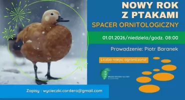 Spacer ornitologiczny „Hangover Bird Count”