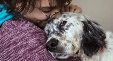 Co mówi zachowanie psa lub kota? Zoopsychologia w praktyce