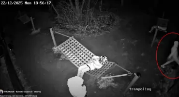 Wandale zniszczyli ogrodzenie nowego parku trampolin w Karczewie