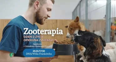 Odkryj świat zooterapii w Willi Frankówka